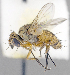  ( - CNC1382207)  @13 [ ] No Rights Reserved  Unspecified Canadian National Collection of Insects Arachnids and Nematodes