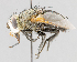  ( - CNC487525)  @11 [ ] No Rights Reserved (2016) Unspecified Canadian National Collection of Insects, Arachnids and Nematodes