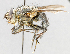  ( - CNC487545)  @11 [ ] No Rights Reserved (2016) Unspecified Canadian National Collection of Insects, Arachnids and Nematodes