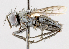  ( - CNC487575)  @11 [ ] No Rights Reserved (2016) Unspecified Canadian National Collection of Insects, Arachnids and Nematodes