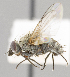  ( - CNC557406)  @11 [ ] No Rights Reserved (2016) Unspecified Canadian National Collection of Insects, Arachnids and Nematodes