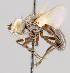  ( - CNC602756)  @11 [ ] No Rights Reserved (2016) Unspecified Canadian National Collection of Insects, Arachnids and Nematodes