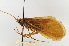  ( - 09CNCTR-0005)  @11 [ ] CreativeCommons - Attribution (2010) Unspecified Centre for Biodiversity Genomics