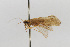  ( - 09CNCTR-0027)  @11 [ ] CreativeCommons - Attribution (2010) Unspecified Centre for Biodiversity Genomics