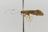  ( - 09CNCTR-0028)  @11 [ ] CreativeCommons - Attribution (2010) Unspecified Centre for Biodiversity Genomics