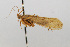  ( - 09CNCTR-0082)  @11 [ ] CreativeCommons - Attribution (2010) Unspecified Centre for Biodiversity Genomics