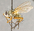  ( - CNC760201)  @13 [ ] No Rights Reserved (2018) Unspecified Canadian National Collection of Insects, Arachnids and Nematodes