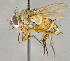  ( - CNC840293)  @13 [ ] No Rights Reserved (2018) Unspecified Canadian National Collection of Insects, Arachnids and Nematodes