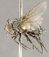  ( - CNC852639)  @14 [ ] No Rights Reserved (2018) Unspecified Canadian National Collection of Insects, Arachnids and Nematodes