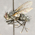  ( - CNC855772)  @11 [ ] No Rights Reserved (2018) Unspecified Canadian National Collection of Insects, Arachnids and Nematodes