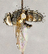  ( - CNC895504)  @11 [ ] No Rights Reserved (2018) Unspecified Canadian National Collection of Insects, Arachnids and Nematodes