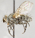  ( - CNC565957)  @13 [ ] No Rights Reserved (2017) Unspecified Canadian National Collection of Insects, Arachnids and Nematodes