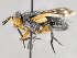  ( - CNC572246)  @11 [ ] No Rights Reserved (2027) Unspecified Canadian National Collection of Insects, Arachnids and Nematodes