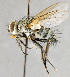  ( - CNC583588)  @14 [ ] No Rights Reserved (2030) Unspecified Canadian National Collection of Insects, Arachnids and Nematodes