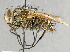 ( - CNC632927)  @13 [ ] No Rights Reserved (2050) Unspecified Canadian National Collection of Insects, Arachnids and Nematodes