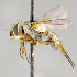  ( - CNC719491)  @12 [ ] No Rights Reserved (2017) Unspecified Canadian National Collection of Insects, Arachnids and Nematodes