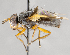  ( - CNC747520)  @11 [ ] No Rights Reserved (2069) Unspecified Canadian National Collection of Insects, Arachnids and Nematodes