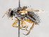  ( - CNC747521)  @13 [ ] No Rights Reserved (2070) Unspecified Canadian National Collection of Insects, Arachnids and Nematodes