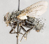 ( - CNC747534)  @13 [ ] No Rights Reserved (2083) Unspecified Canadian National Collection of Insects, Arachnids and Nematodes