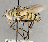  ( - CNC748128)  @11 [ ] No Rights Reserved (2072) Unspecified Canadian National Collection of Insects, Arachnids and Nematodes