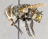  ( - CNC751683)  @13 [ ] No Rights Reserved (2017) Unspecified Canadian National Collection of Insects, Arachnids and Nematodes