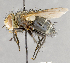  ( - CNC751701)  @11 [ ] No Rights Reserved (2028) Unspecified Canadian National Collection of Insects, Arachnids and Nematodes