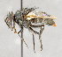  ( - CNC751723)  @12 [ ] No Rights Reserved (2050) Unspecified Canadian National Collection of Insects, Arachnids and Nematodes