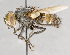  ( - CNC751729)  @11 [ ] No Rights Reserved (2056) Unspecified Canadian National Collection of Insects, Arachnids and Nematodes