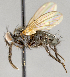  ( - CNC751898)  @11 [ ] No Rights Reserved (2052) Unspecified Canadian National Collection of Insects, Arachnids and Nematodes