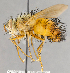  ( - CNC751911)  @11 [ ] No Rights Reserved (2060) Unspecified Canadian National Collection of Insects, Arachnids and Nematodes