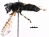  ( - BIOUG03398-C05)  @13 [ ] CreativeCommons - Attribution (2016) CBG Photography Group Centre for Biodiversity Genomics