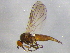  ( - BIOUG03114-G08)  @13 [ ] CreativeCommons - Attribution (2012) CBG Photography Group Centre for Biodiversity Genomics