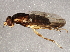  ( - BIOUG03114-H02)  @13 [ ] CreativeCommons - Attribution (2014) CBG Photography Group Centre for Biodiversity Genomics