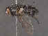  ( - BIOUG03400-A04)  @14 [ ] CreativeCommons - Attribution (2012) CBG Photography Group Centre for Biodiversity Genomics