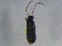  ( - BIOUG03105-C02)  @13 [ ] CreativeCommons - Attribution (2012) CBG Photography Group Centre for Biodiversity Genomics