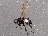  ( - BIOUG03271-F12)  @13 [ ] CreativeCommons - Attribution (2013) CBG Photography Group Centre for Biodiversity Genomics