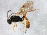  ( - BIOUG03359-H11)  @13 [ ] CreativeCommons - Attribution (2013) CBG Photography Group Centre for Biodiversity Genomics