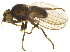  ( - BIOUG03361-C12)  @12 [ ] CreativeCommons - Attribution (2012) CBG Photography Group Centre for Biodiversity Genomics