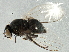  ( - BIOUG03362-E11)  @12 [ ] CreativeCommons - Attribution (2013) CBG Photography Group Centre for Biodiversity Genomics