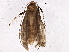  ( - BIOUG03102-C11)  @14 [ ] CreativeCommons - Attribution (2013) CBG Photography Group Centre for Biodiversity Genomics