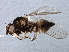 ( - BIOUG03554-G01)  @13 [ ] CreativeCommons - Attribution (2013) CBG Photography Group Centre for Biodiversity Genomics