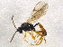  ( - BIOUG03611-G08)  @13 [ ] CreativeCommons - Attribution (2013) CBG Photography Group Centre for Biodiversity Genomics