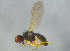  ( - BIOUG03450-E10)  @13 [ ] CreativeCommons - Attribution (2012) CBG Photography Group Centre for Biodiversity Genomics