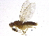  ( - BIOUG03659-B04)  @13 [ ] CreativeCommons - Attribution (2013) CBG Photography Group Centre for Biodiversity Genomics