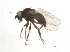  ( - BIOUG03690-G06)  @12 [ ] CreativeCommons - Attribution (2013) CBG Photography Group Centre for Biodiversity Genomics