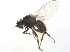  ( - BIOUG03695-G01)  @13 [ ] CreativeCommons - Attribution (2013) CBG Photography Group Centre for Biodiversity Genomics