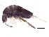  ( - BIOUG04093-B07)  @14 [ ] CreativeCommons - Attribution (2012) CBG Photography Group Centre for Biodiversity Genomics