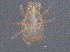  ( - BIOUG04238-E03)  @13 [ ] CreativeCommons - Attribution (2014) CBG Photography Group Centre for Biodiversity Genomics