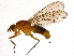  (Dryope - BIOUG04527-C04)  @15 [ ] CreativeCommons - Attribution (2014) CBG Photography Group Centre for Biodiversity Genomics