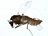  ( - BIOUG04539-E10)  @12 [ ] CreativeCommons - Attribution (2014) CBG Photography Group Centre for Biodiversity Genomics